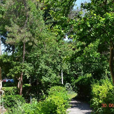Apartament Antonia Sat Vacanta 康斯坦察 外观 照片