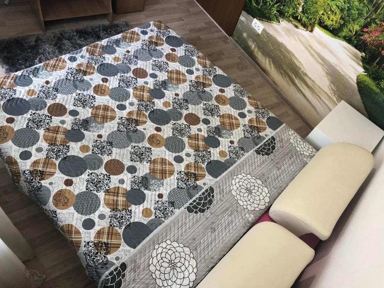 Apartament Antonia Sat Vacanta 康斯坦察 外观 照片
